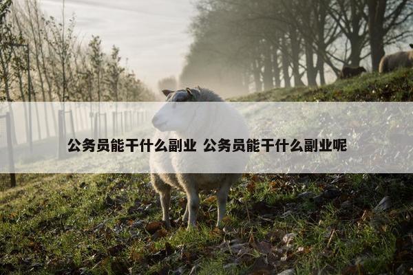 公务员能干什么副业 公务员能干什么副业呢