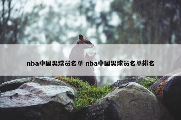 nba中国男球员名单 nba中国男球员名单排名