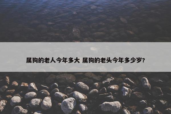 属狗的老人今年多大 属狗的老头今年多少岁?