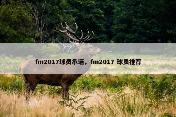 fm2017球员承诺，fm2017 球员推荐