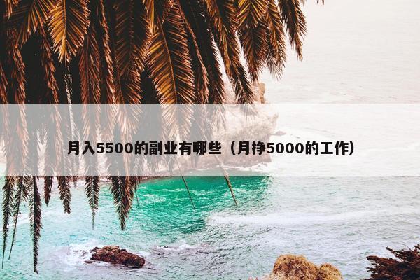 月入5500的副业有哪些（月挣5000的工作）