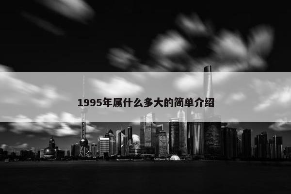 1995年属什么多大的简单介绍