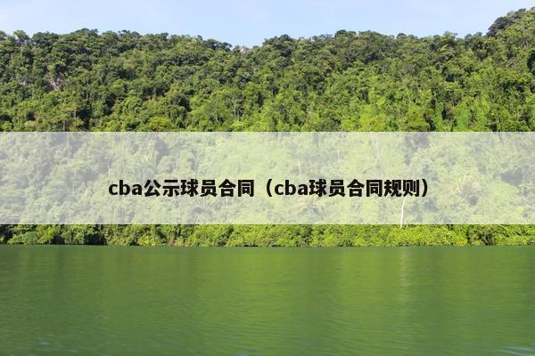 cba公示球员合同（cba球员合同规则）