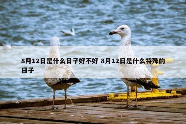 8月12日是什么日子好不好 8月12日是什么特殊的日子