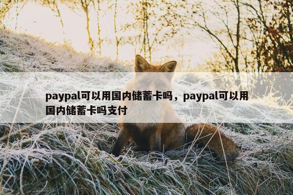 paypal可以用国内储蓄卡吗，paypal可以用国内储蓄卡吗支付