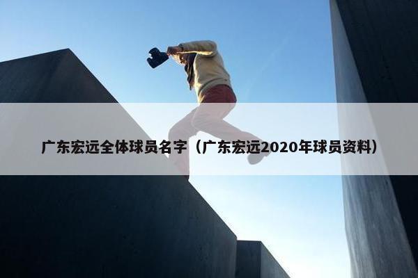 广东宏远全体球员名字（广东宏远2020年球员资料）