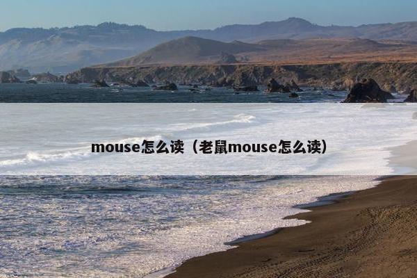 mouse怎么读（老鼠mouse怎么读）