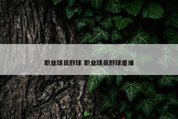 职业球员野球 职业球员野球是谁