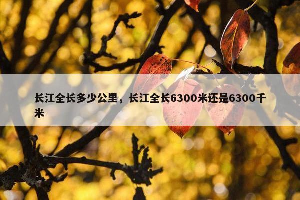长江全长多少公里，长江全长6300米还是6300千米