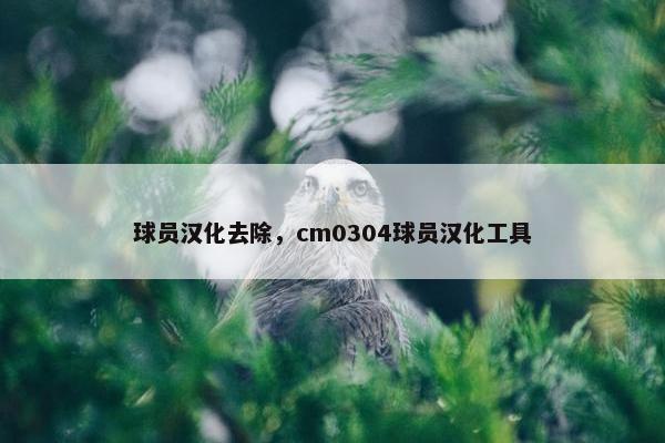 球员汉化去除，cm0304球员汉化工具