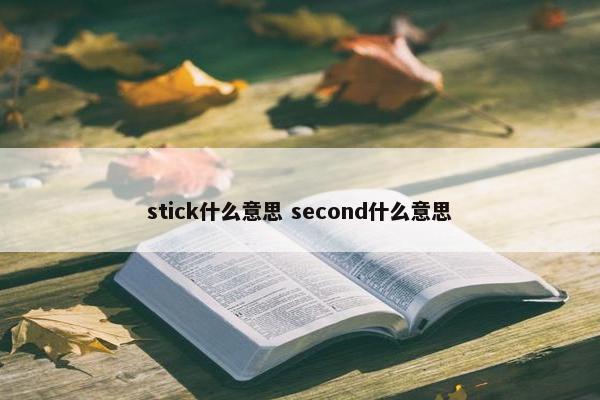 stick什么意思 second什么意思