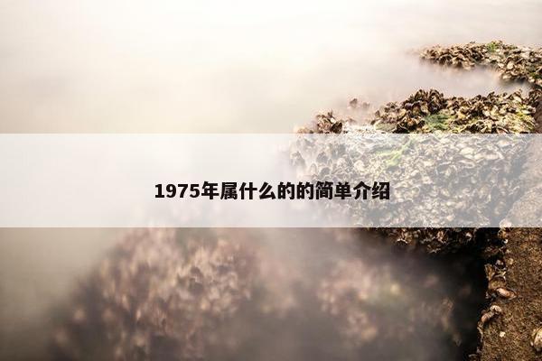 1975年属什么的的简单介绍