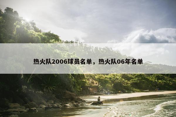 热火队2006球员名单，热火队06年名单