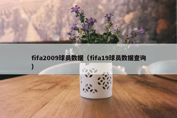 fifa2009球员数据（fifa19球员数据查询）