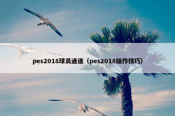 pes2018球员通道（pes2018操作技巧）