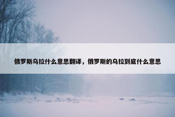 俄罗斯乌拉什么意思翻译，俄罗斯的乌拉到底什么意思