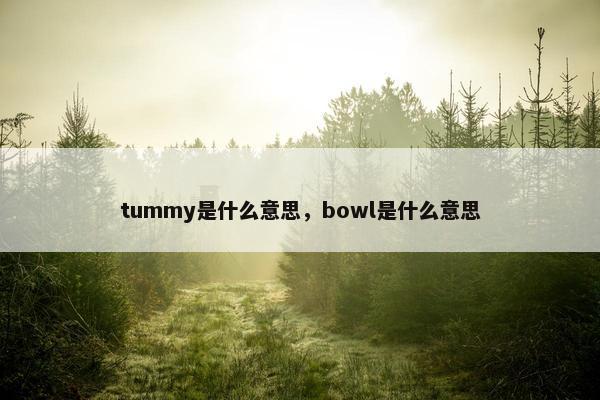 tummy是什么意思，bowl是什么意思