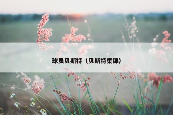 球员贝斯特（贝斯特集锦）