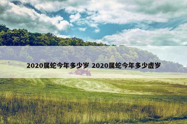 2020属蛇今年多少岁 2020属蛇今年多少虚岁