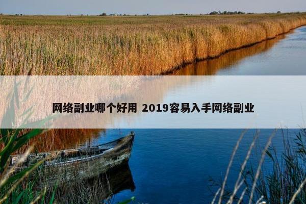 网络副业哪个好用 2019容易入手网络副业