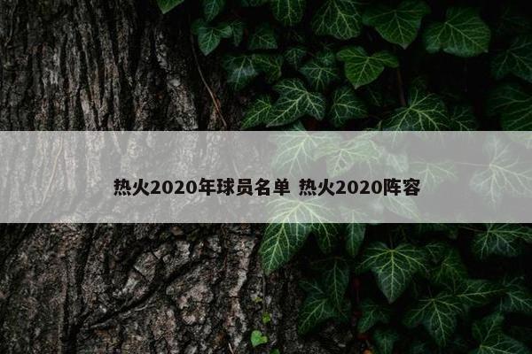 热火2020年球员名单 热火2020阵容