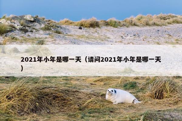 2021年小年是哪一天（请问2021年小年是哪一天）