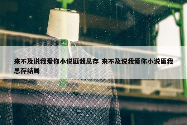 来不及说我爱你小说匪我思存 来不及说我爱你小说匪我思存结局