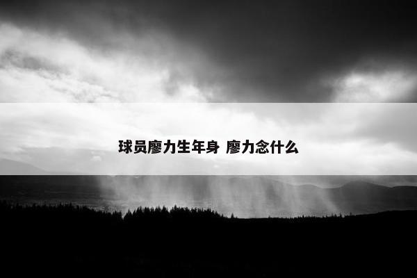 球员廖力生年身 廖力念什么