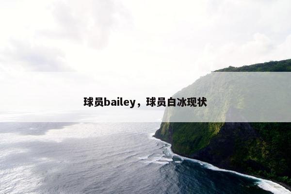 球员bailey，球员白冰现状