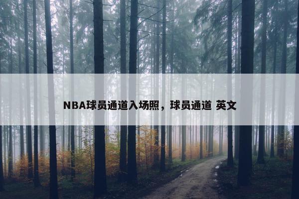 NBA球员通道入场照，球员通道 英文