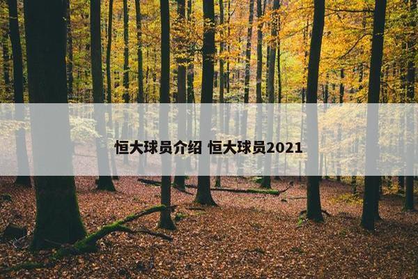 恒大球员介绍 恒大球员2021