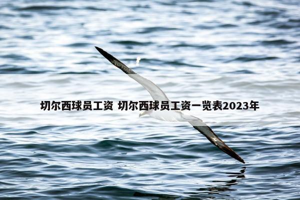 切尔西球员工资 切尔西球员工资一览表2023年