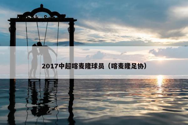 2017中超喀麦隆球员（喀麦隆足协）