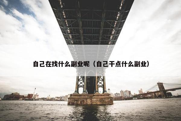 自己在找什么副业呢（自己干点什么副业）