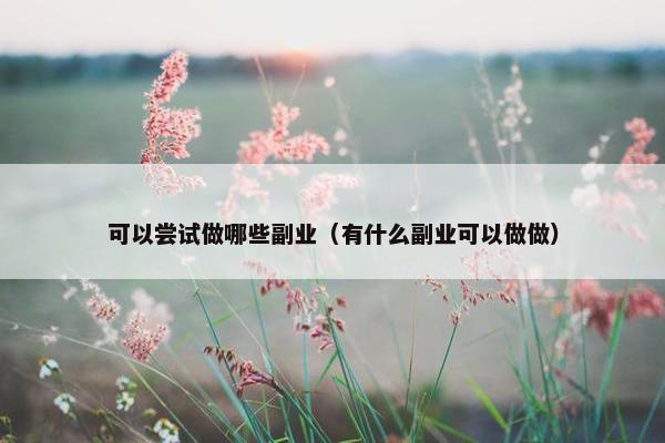 可以尝试做哪些副业（有什么副业可以做做）