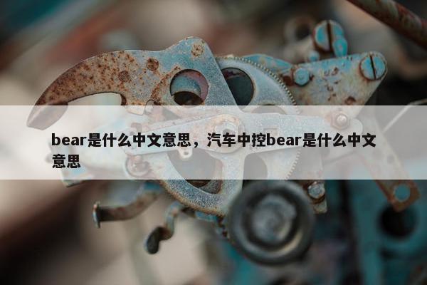 bear是什么中文意思，汽车中控bear是什么中文意思