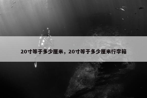 20寸等于多少厘米，20寸等于多少厘米行李箱