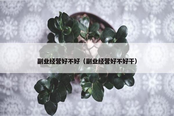 副业经营好不好（副业经营好不好干）