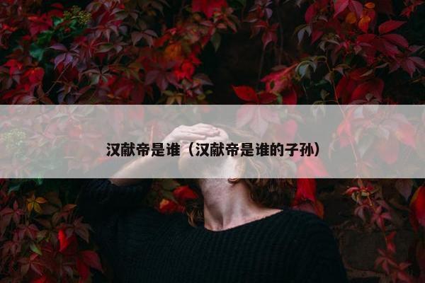 汉献帝是谁（汉献帝是谁的子孙）