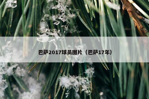 巴萨2017球员图片（巴萨17年）