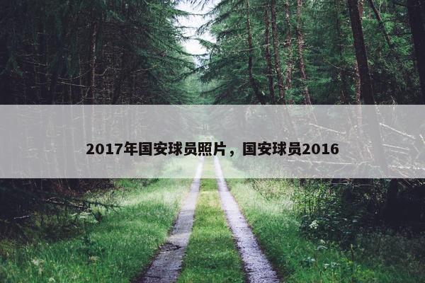 2017年国安球员照片，国安球员2016