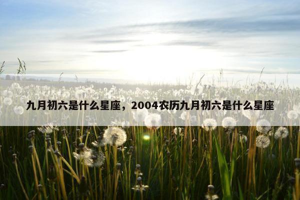 九月初六是什么星座，2004农历九月初六是什么星座