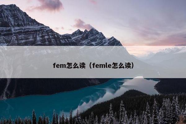 fem怎么读（femle怎么读）