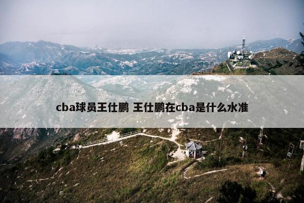 cba球员王仕鹏 王仕鹏在cba是什么水准