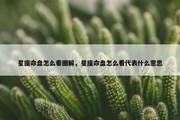 星座命盘怎么看图解，星座命盘怎么看代表什么意思