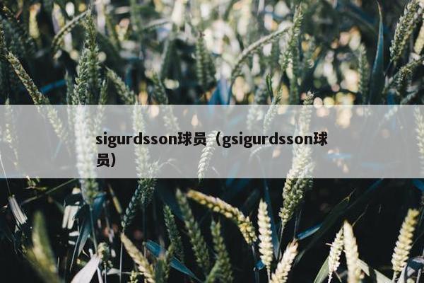 sigurdsson球员（gsigurdsson球员）