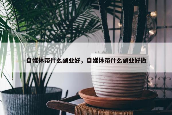 自媒体带什么副业好，自媒体带什么副业好做