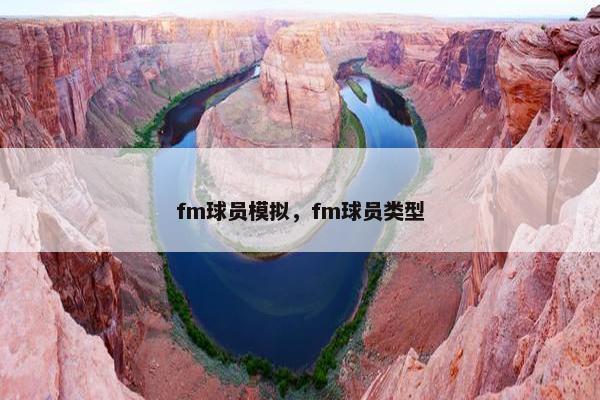 fm球员模拟，fm球员类型