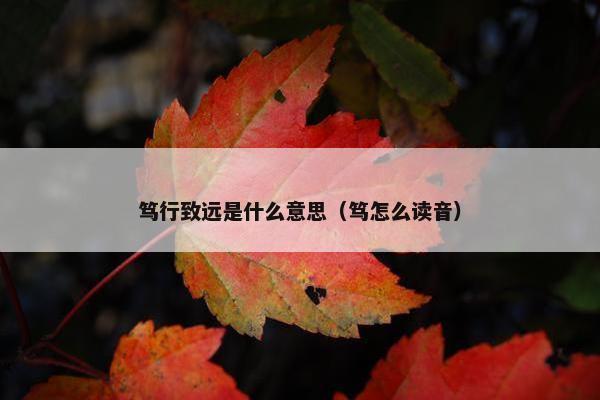 笃行致远是什么意思（笃怎么读音）