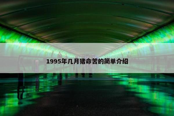 1995年几月猪命苦的简单介绍